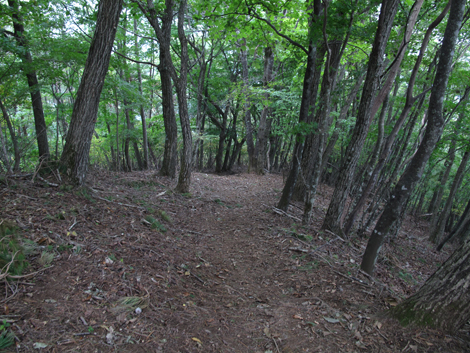 20171012hike (276)